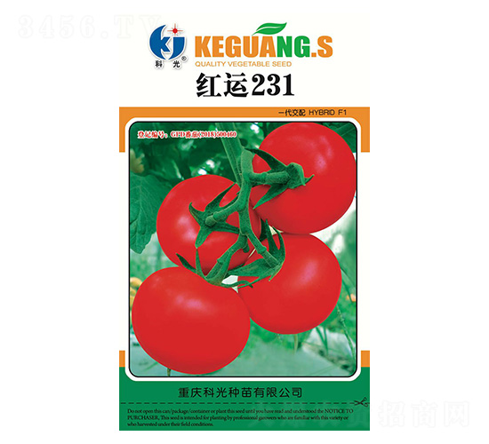 �t�\231-�ƹ�N��