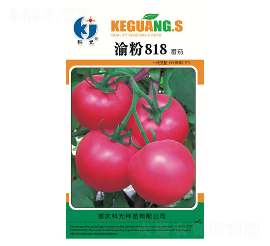 ���818-�ƹ�N��