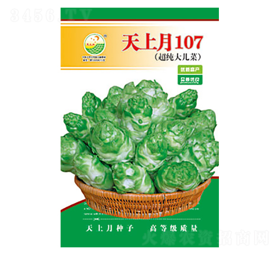 ���˷N��-������107-̫���N�I(y��)