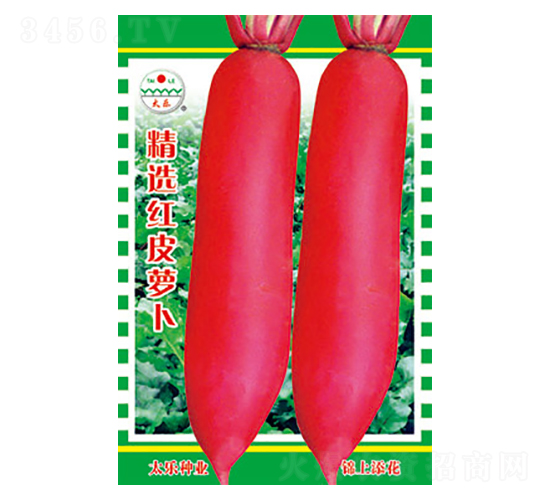 �}���N��-���x�tƤ�}��-̫���N�I(y��)