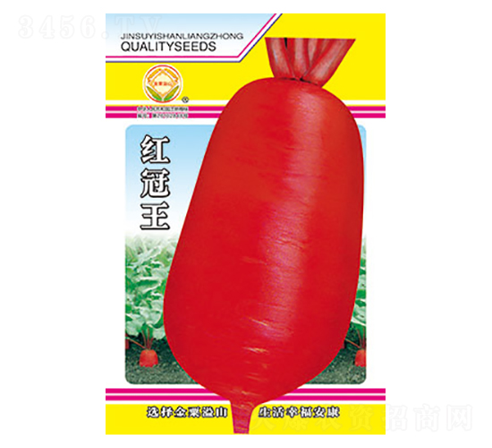 �}���N��-�t����-̫���N�I(y��)