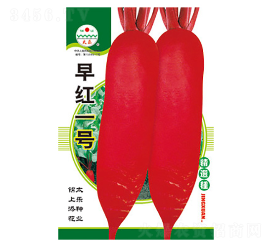 �}���N��-��tһ̖(h��o)-̫���N�I(y��)