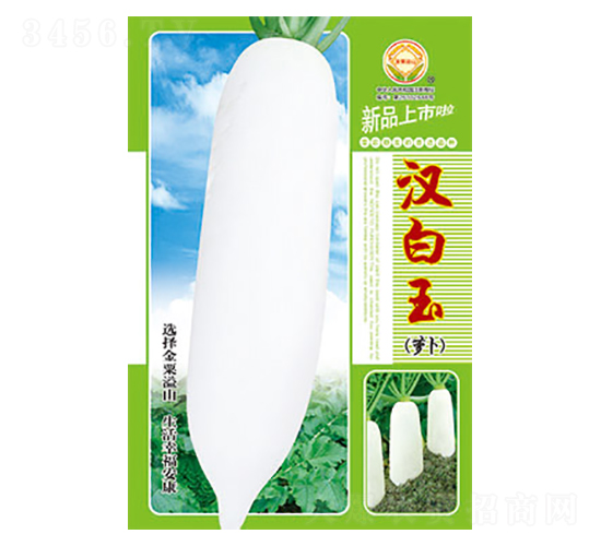 �}���N��-�h����-̫��(l��)�N�I(y��)