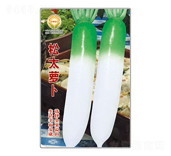 �}���N��-��̫�}��-̫��(l��)�N�I(y��)