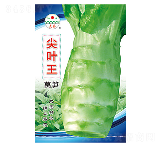 �n�S�N��-���~��-̫���N�I(y��)