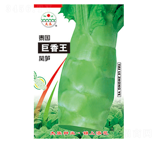 �n�S�N��-̩��������-̫���N�I(y��)