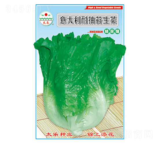 生菜種子-意大利耐抽苔生菜-太樂種業(yè)