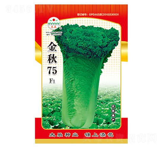 �ײ˷N��-����75-̫���N�I(y��)