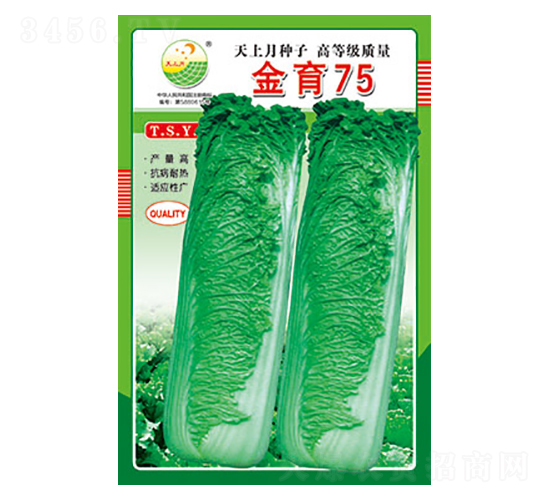 �ײ˷N��-����75-̫���N�I(y��)