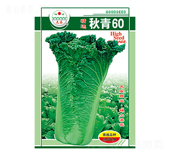 �ײ˷N��-����60-̫���N�I(y��)