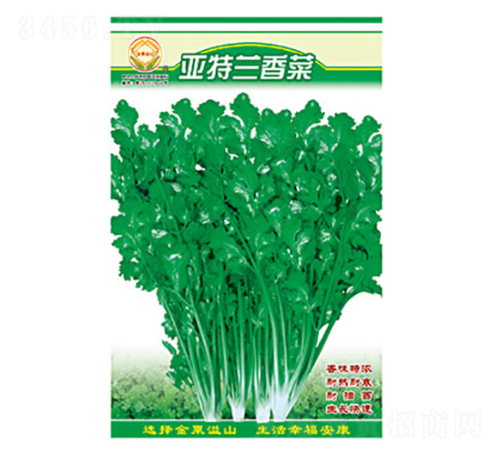 ��˷N��-���m���-̫���N�I(y��)