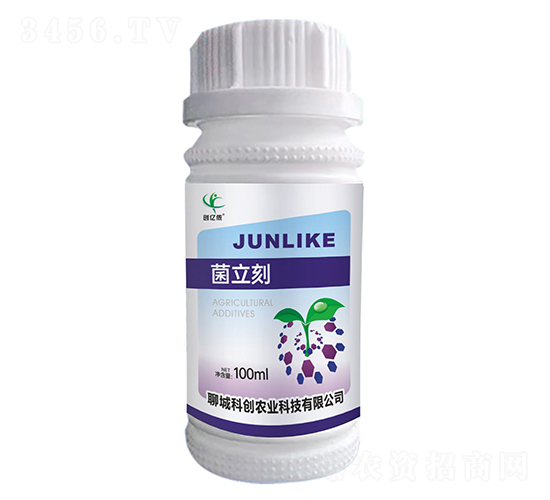 ������-��(chu��ng)�|�z-�ĳǿƄ�(chu��ng)