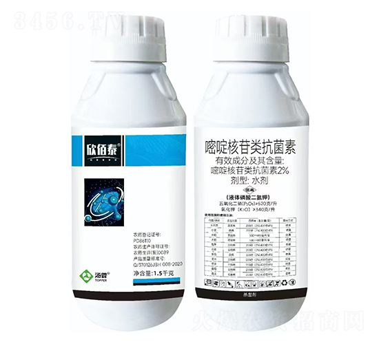 2%��ऺ��������-����̩-���՘�