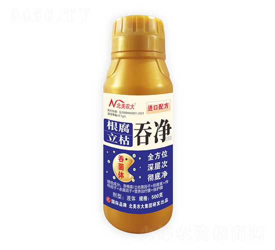 ���������̃�-�����r��