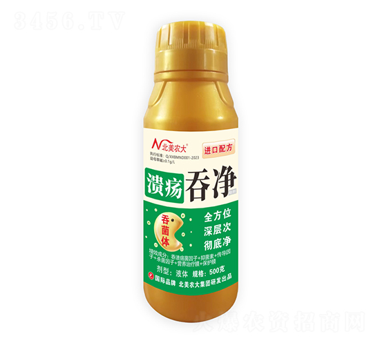 �����̃�-�����r��