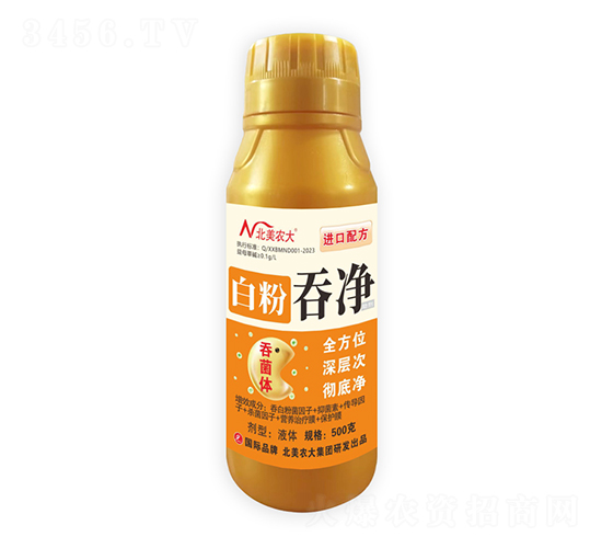 �׷��̃�-�����r(n��ng)��