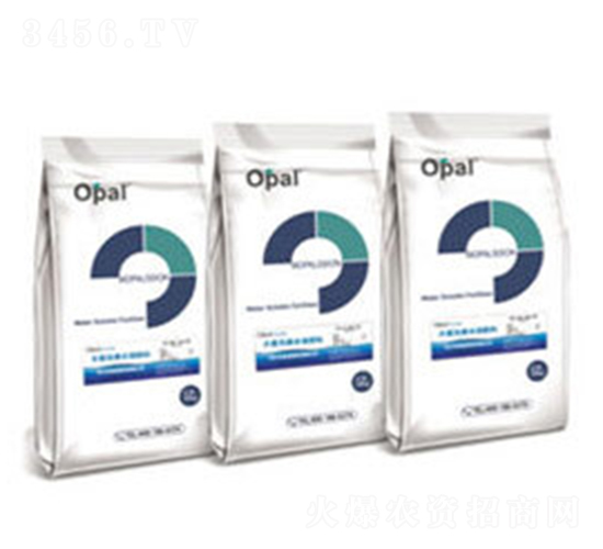 OPAL���a(ch��n)ˮ�ܷ���-�W�㘷