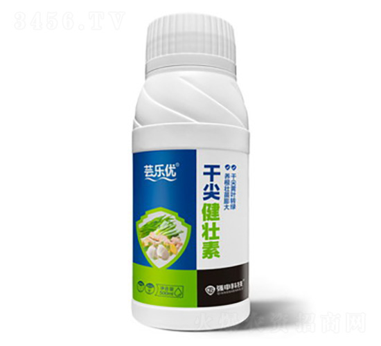 �ɼ⽡����-�|��(l��)��(y��u)-��(qi��ng)��Ƽ�