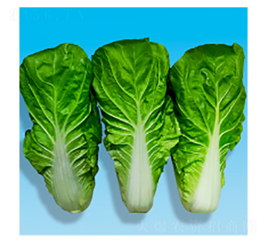 ��˷N��-����-�A孷N�I(y��)