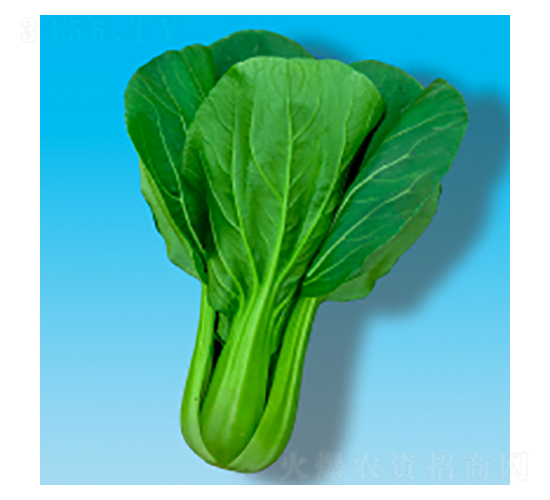 �๣�˷N��-���349-�A孷N�I(y��)