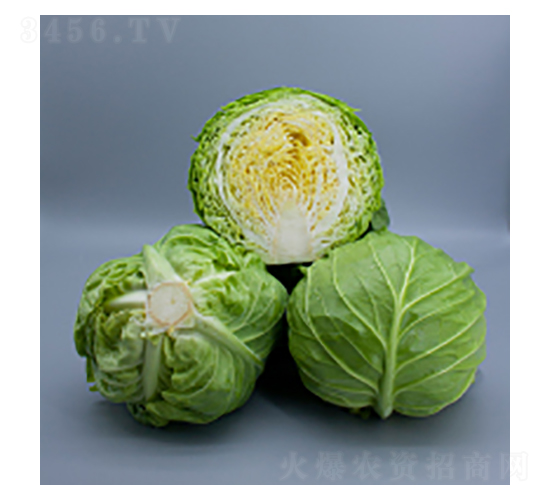 ���{�N��-�GӰ-�A孷N�I(y��)