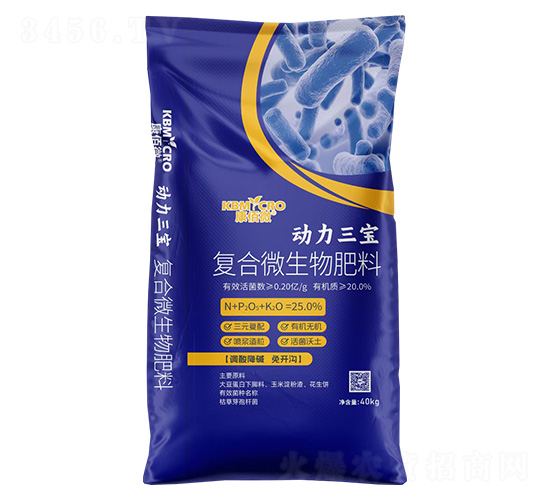 �ͺ�΢�������-��������-����΢