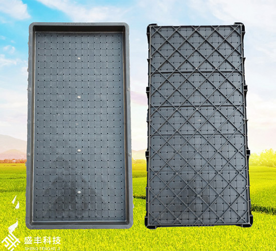 9���պ�����P-ʢ�S�r(n��ng)�C(j��)