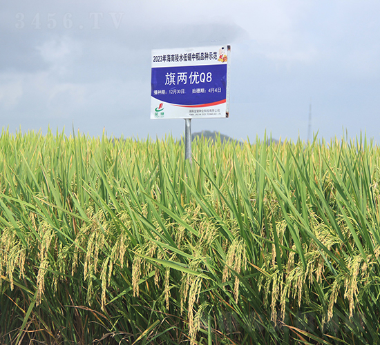 ��Ƀ�(y��u)Q8-ˮ���N��-�𽡷N�I(y��)