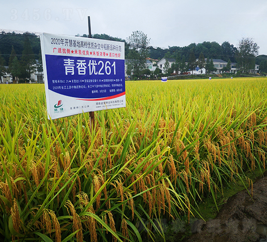 ���マ(y��u)261-ˮ���N��-�𽡷N�I(y��)