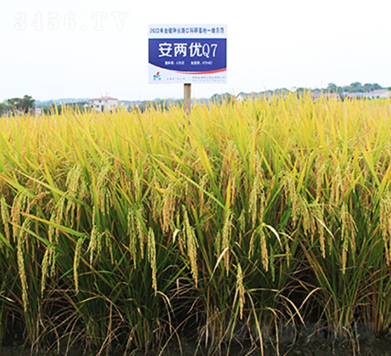 ���Ƀ�(y��u)Q7-ˮ���N��-�𽡷N�I(y��)