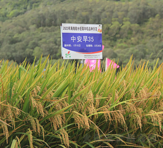 �а���35-ˮ���N��-�𽡷N�I(y��)