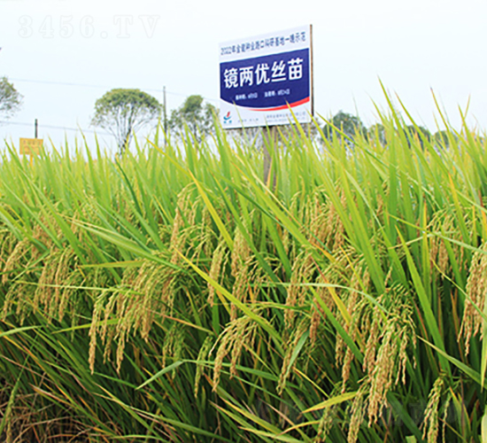 �R�Ƀ�(y��u)�z��-ˮ���N��-�𽡷N�I(y��)