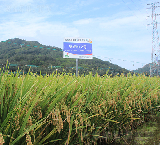 ���Ƀ�(y��u)2̖-ˮ���N��-�𽡷N�I(y��)