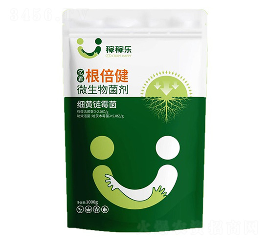 ΢�������-�|��������-�ڼژ�(l��)