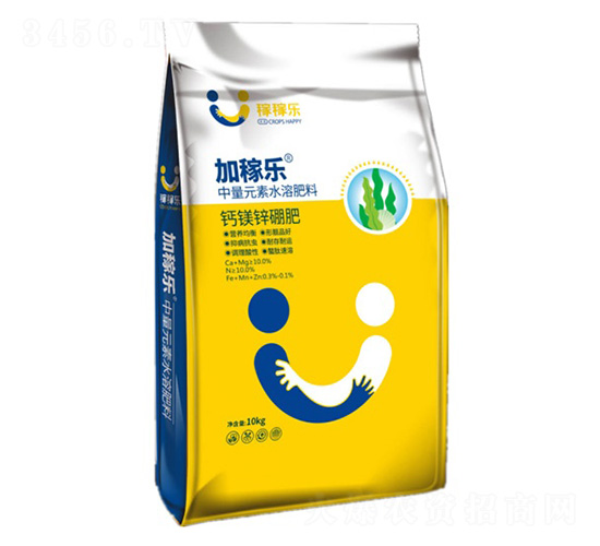 �}�V���\��-�Ӽژ�-�ڼژ�