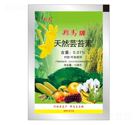 15������Ȼ�|̦��-���R-ǧ���R