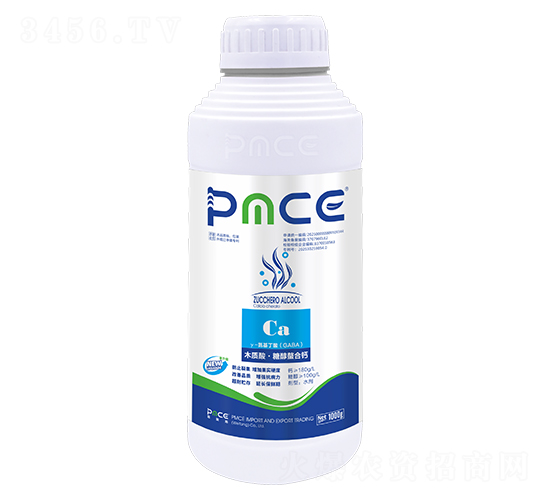 ľ�|(zh��)�ᡤ�Ǵ������}-����˹