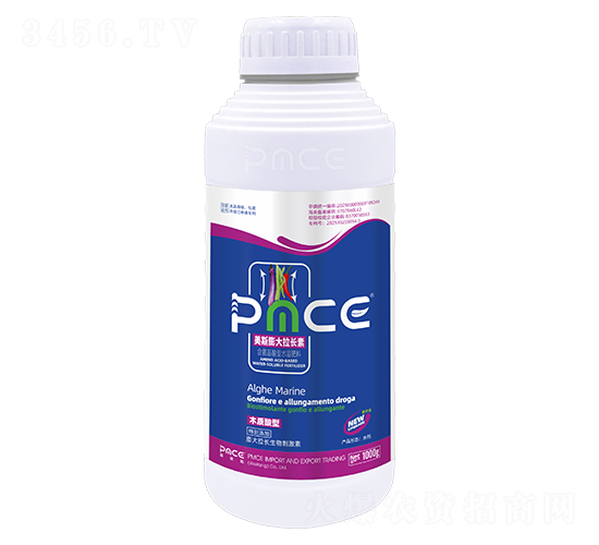 ����������ˮ�ܷ���-��˹������L(zh��ng)��-����˹