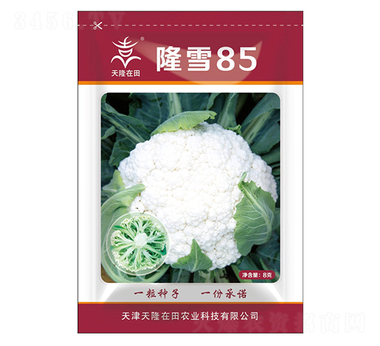 ¡ѩ85-��¡����-��¡�r(n��ng)�I(y��)