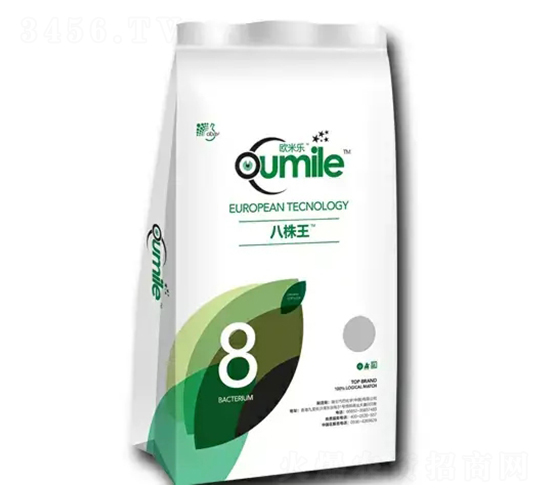 ������-�W�ט�(l��)-�̶�����