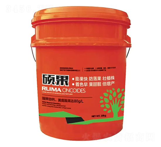 �T���_ʩ��-�̶�����