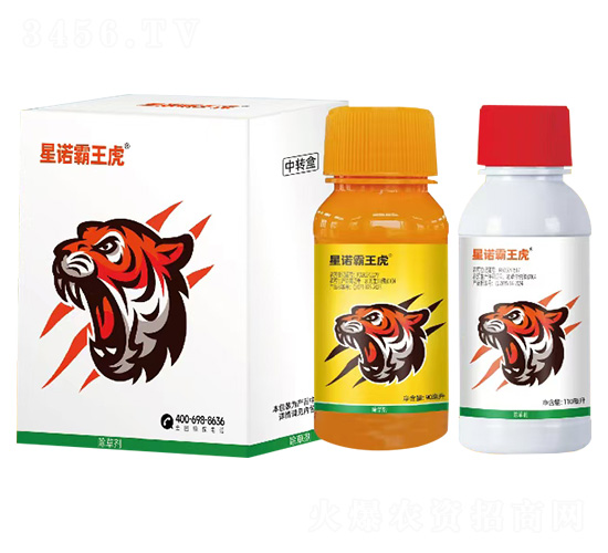 ���ݽM�����b-���Z������-�Z����