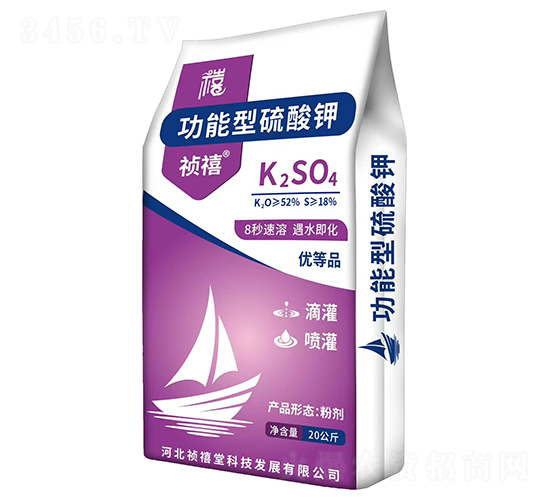 �����������-����-������