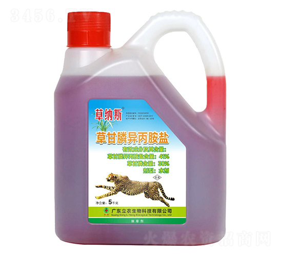 41%�ݸ�좮������}����s�ͣ�-�ݼ{˹-�V�|���r