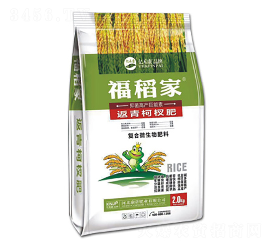 �����辷�-������-���Z�ʘI(y��)