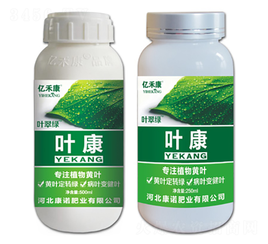 ��עֲ���S�~-�~��-���Z�ʘI(y��)