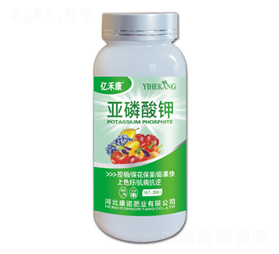 �������-�|�̿�-���Z�ʘI(y��)