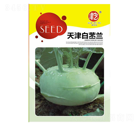 ���{(l��n)�N��-�������{(l��n)-���S�r(n��ng)�I(y��)