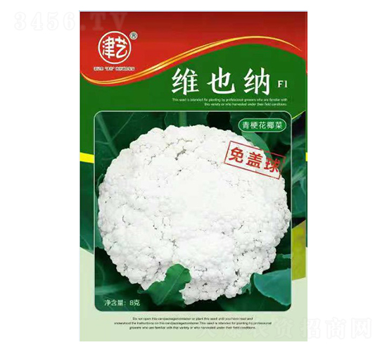 ���˷N��-�SҲ�{-���S�r(n��ng)�I(y��)