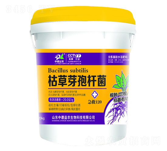 �ݲ�ѿ�ߗU��-����120-�е����r